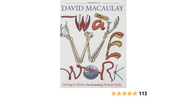 The Way We Work Getting To Know The Amazing Human Body Amazon De Macaulay David Fremdsprachige Bucher