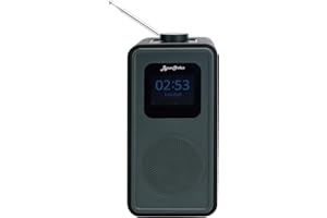 ByronStatics Digital Radio DAB, DAB+ FM, Portable DAB Radios with Bluetooth, Color Display 2.4inch, 3W Mono Bluetooth Speaker, 3.5mm AUX Jack, Mains Powered or Battery Powered