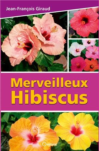 Download Merveilleux hibiscus Download Merveilleux hibiscus