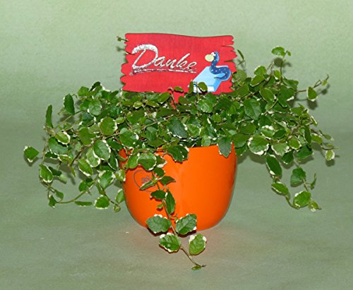 Petra’s Bastel-News A-DAH92S6 6 x Blumentopfstecker „Tafel“ - 4