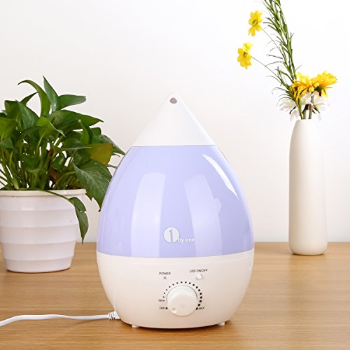 comprare on line 1byone Umidificatore Ultrasuoni Ionizzatore 2.8L, Nebbia Fredda, Silenzioso e con 7 Colori LED, Funzione di Auto Spegnimento prezzo