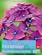 Hortensiensorten Hortensiensorten
