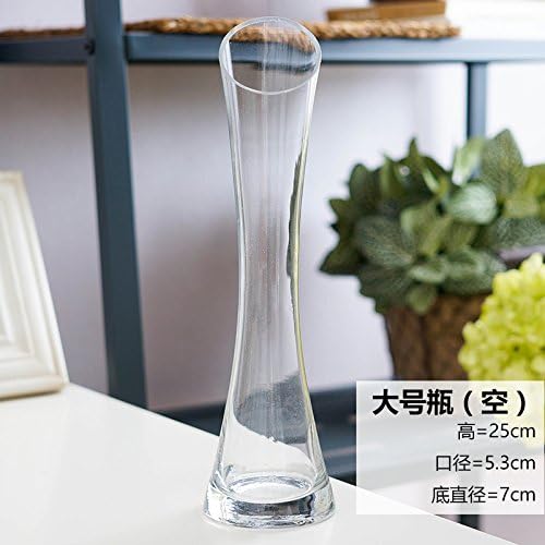 Maivas Vase Thin Waist Glass Transparent Single Flower Desktop Decoration,