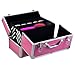 Popamazing Large Aluminum Waterproof Stylish Beauty Makeup Box Luggage Cosmetic Case (Pink)