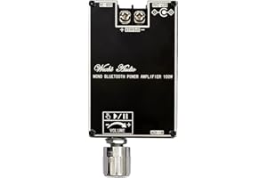 TYCRALI Carriere Carte Amplificateur Audio Bluetooth Mono 100W avec Module Audio TWS Box Function DC7-24V -1001B