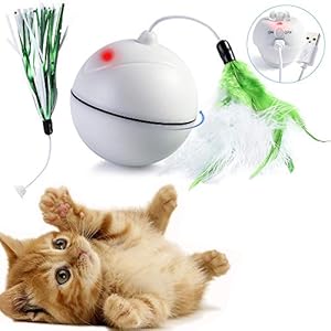 DYBOHF Bola de Gato, Juguetes para Gatos Pelotas, [Carga USB] con Luces LED/Plumas. rotación automática, Juego Divertido de Toys for Cat Balls – Gatito Interactivo de Juguetes(Blanco)