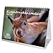 Produktbild Premium Tischkalender / Kalender 2018 · DIN A5 · Eichhörnchenzauber · Eichhörnchen · Wald · Tier · Edition Seelenzauber