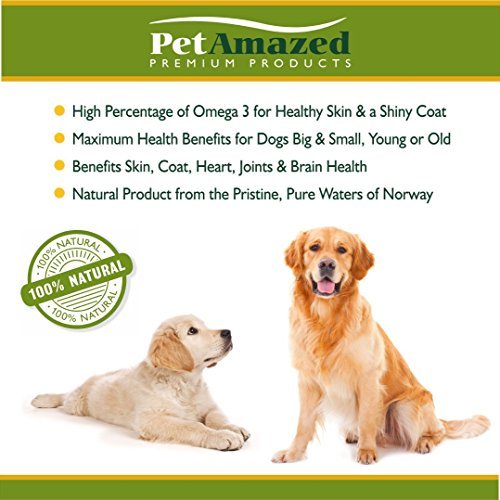 PetAmazed-Pure-Salmon-Fish-Oil-for-Dogs-Cats--Best-Omega-3-Liquid-Food-Supplement-for-Pets--Contains-EPA-DHA-Fatty-Acids-for-Improved-Skin-Coat--Naturally-Supports-Joint-Immune-Brain-Function--Relieve