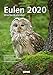Wochenkalender Eulen 2020 by 