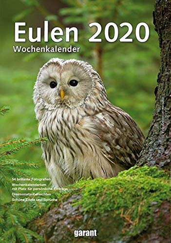 Wochenkalender Eulen 2020