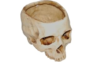 Cutefly Naczynia na rośliny i akcesoria naczyniowe ›garnki, żywica, jak na zdjęciu