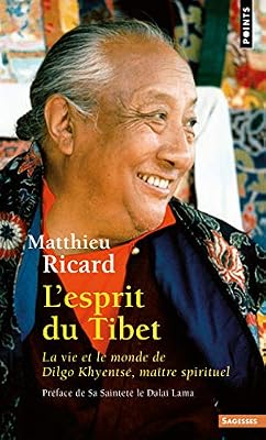 Points L'esprit Du Tibet - La Vie Et Le Monde De Dilgo Khyentsé Maître Spirituel