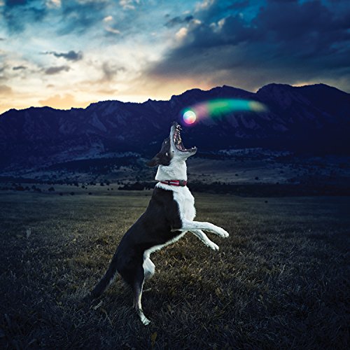 Nite-Ize-GlowStreak-LED-Ball-Disc-O-Diameter-25-GSB-07-R7