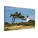Produktbild Premium Textil-Leinwand 75 cm x 50 cm quer, Süderleuchtturm-Hiddensee | Wandbild, Bild auf Keilrahmen, Fertigbild auf echter Leinwand, Leinwanddruck (CALVENDO Orte)