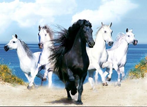 HORSES UNFRAMED Holographic Wall Art-POSTERS That FLIP and CHANGE images-Lenticular Technology Artwork--MULTIPLE PICTURES IN ONE--HOLOGRAM Images Change--Technology by THOSE FLIPPING PICTURES
