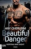 Beautiful Danger - Vertrau mir nicht