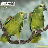 Amazons - Amazonenpapageien 2019 (Wall-Kalender) by 