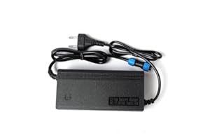 DGLUYUDV Charger diving system