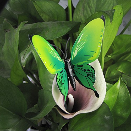 Mangotree 12 Stück/Polybeutel Abnehmbar 3D Lustige Bunte Schmetterlinge Wand Kings Schmetterlinge Hauptdekor Kunst Design Aufkleber Wand (Grün, 12pc) - 2