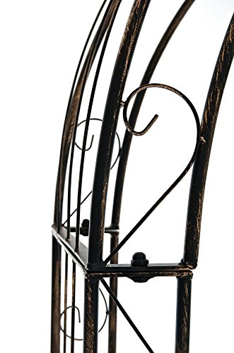 CLP Rosenbogen SUN Eisen pulverbeschichtet ( Metall ) Breite 160, Tiefe 35 cm, Höhe 260 cm bronze - 7