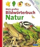 Mein großes Bildwörterbuch Natur by 