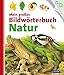 Mein großes Bildwörterbuch Natur by 