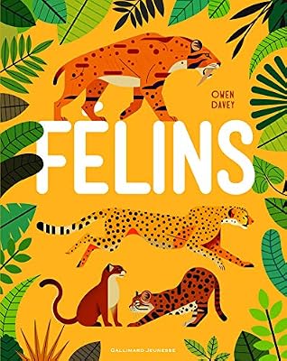 Félins