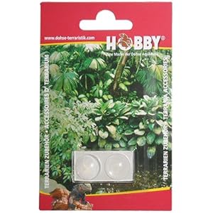 Knöpfe für Terrarienscheiben, 15 mm, transparent, 2 St.,