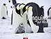 Pinguine auf Reise - Kalender 2017 by 