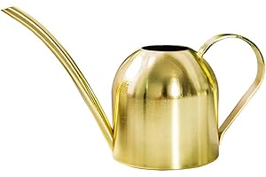 Anawakia Arrosoir moderne pour plantes d'intérieur en acier inoxydable avec long bec - 500 ml - Doré