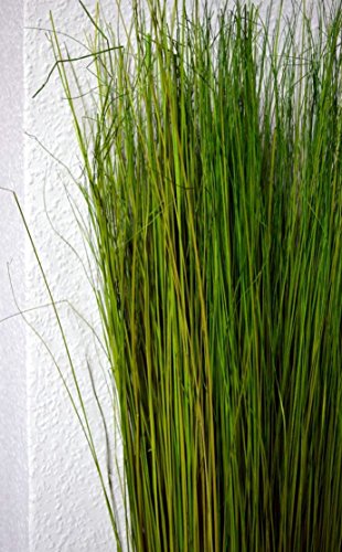 Gräser Grasbündel grün Deko Zweige Gesteck für Vasen Trockengesteck Deko ca. 100cm - 4