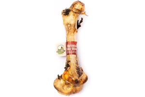 Paddock Farm Ostrich Dino Bone For Dogs - Natural Dog Bones