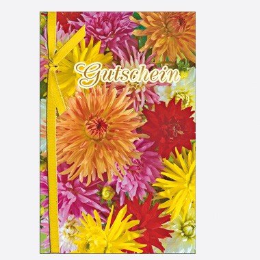 Preisvergleich Produktbild Glückwunschkarte 1,79 Euro