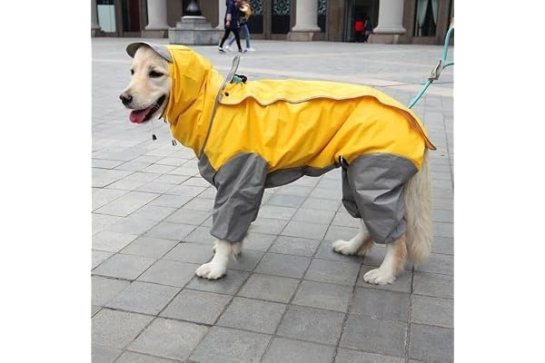 Bhumi Enterprises Dog Raincoats Rain Snow Coats Waterproof Clothing 4 Four Legs Raincoat Full-Cover Dogs Hooded Poncho(Yellow-Grey) (24..)