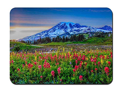 Preisvergleich Produktbild BGLKCS