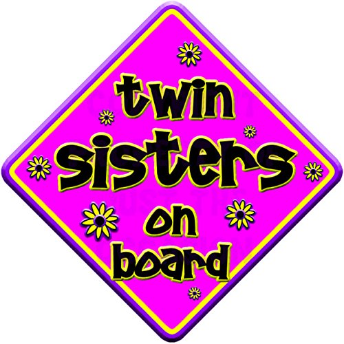 Non personalised FLORAL TWIN SISTERS novelty baby on board car window sign.