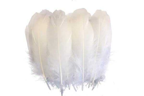 Suneast Lot de 100 Plumes d'oie pour Loisirs Créatifs, Attrape-Rêves, Boucles d'oreilles, Mariage, Festival, Décoration de Fête Prénatale - Blanc, 12-18cm
