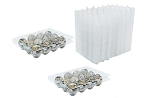 RECHCIGA 50 Stück Wachtelei Schachteln Wachteln Eierschachteln Kunststoff Eierschalen mit Deckel 12 Gitter Transparente Wachteleierschachteln PVC Eier Aufbewahrungsbox für Wachteleier