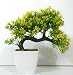 hyperboles Bonsai Wild Plant Artificial Plant with Pot(26 cm, Yellow) RS.359.00