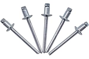 MARCOPOL 100 remaches ciegos de 4 x 6 mm, cabeza de cúpula abierta, remaches de pop, DIN 7337, remache de acero y mandril de acero (100, 4 x 6 mm)