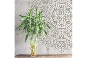 TODO-STENCIL Schablone Home Decor Rosette 017 Mandala, Außenmaße: 30 x 30 cm, Innenmaße: 28 x 28 cm