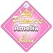 Crown Princess Amelia On Board Personalised Baby / Child Girls Car Sign