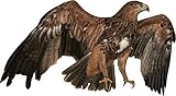 hohe Farbrillanz U24 Aufkleber Adler Foto Autoaufkleber 31 x 18 cm Sticker Konturschnitt
