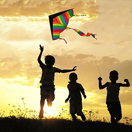 Foxom Rainbow Kite for Kids, Girls, Boys, Toddlers - Most Popular Outdoor Toys, Huge Kite with 50m/164 Feet Flying Line reviews Foxom Rainbow Kite for Kids, Girls, Boys, Toddlers - Most Popular Outdoor Toys, Huge Kite with 50m/164 Feet Flying Line