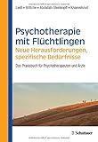 Image de Psychotherapie mit Flüchtlingen - neue Herausforderungen, spezifische Bedürfnisse: Das P