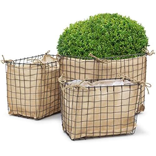 Suchergebnis auf Amazon.de für: flache korb: Garten