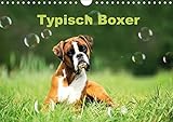 Typisch Boxer (Wandkalender 2018 DIN A4 quer): Mit lustigen Boxern durch das Jahr (Monatskalender, 14 Seiten ) (CALVENDO Tiere) by 
