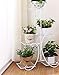 Produktbild Chairs FL Blumenständer/Pflanzenstand Metall Blumenständer Eisen mehrstöckigen Erdgeschoss Blumenregal Wohnzimmer Balkon Zimmerpflanze Blumenständer Blumen Topfhalter (Farbe : Weiß)