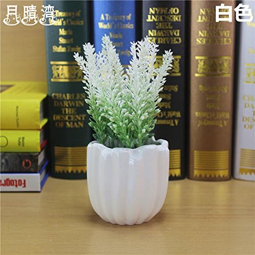 Modern Living Room Tv Cabinet Garden Home Furnishing Partition Simulation Potted Flower Decoration Lavender,Type 6