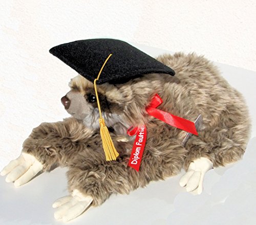 Preisvergleich Produktbild akademisches Faultier mit Diplom Hut Plüschtier Sloth Kuscheltier
